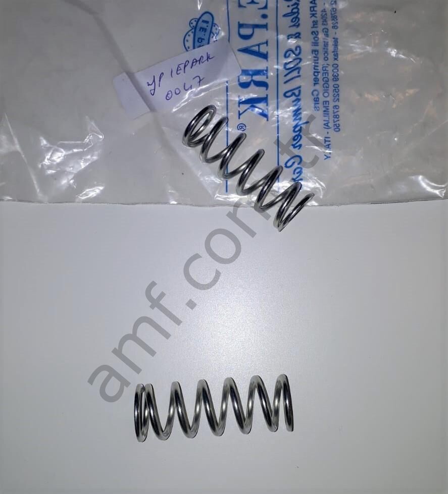 Clutch Pressure Plate_2A1412/M Iepark Bumper Cars, Debriaj Baskı Plaka Yayı