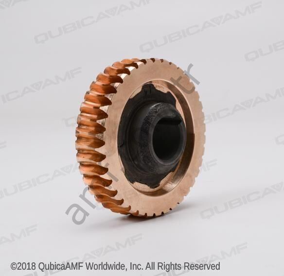 Gear Worm 38/1 __ 785503015