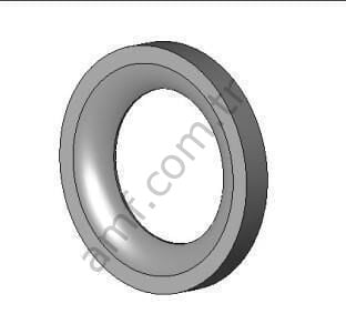 Special Washer Bosp 0.63x100x0.13_ST070001849
