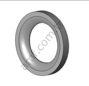 Special Washer Bosp 0.63x100x0.13_ST070001849