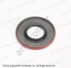 Oil Seal - Back End Pin Elevator Output_785503071 Kazan Redüktör/Şanzıman Sızdırmazlık Keçesi