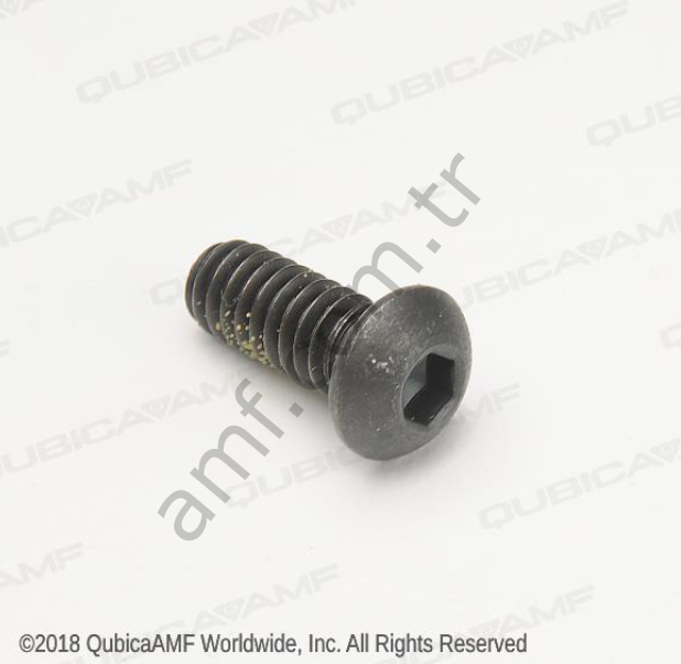 Cap Screw, Button Head Black 1/4-20x5/8_809149100 Buton Başlı Siyah Civata 1/4-20x0.63