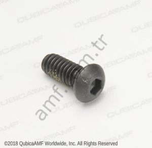 Cap Screw, Button Head Black 1/4-20x5/8_809149100 Buton Başlı Siyah Civata 1/4-20x0.63
