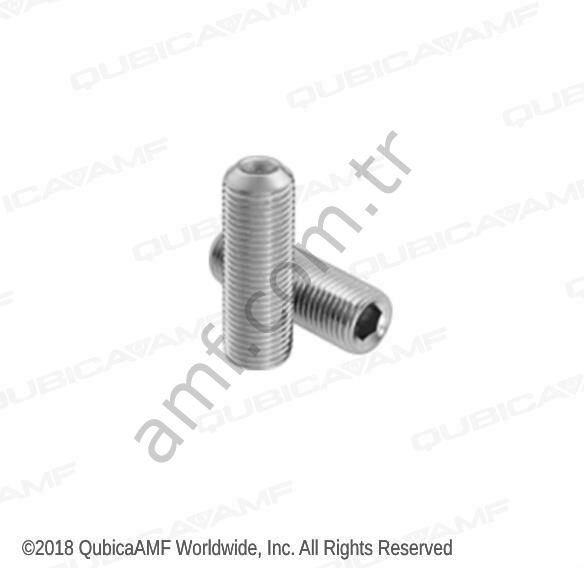 Scr, Stso, Cp 1/4-20X1/4 (BG10)_807249040