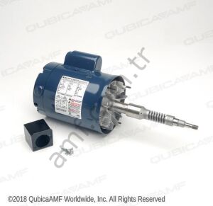 Motor Even BE 50Hz w/Worm Shaft __ 785501722