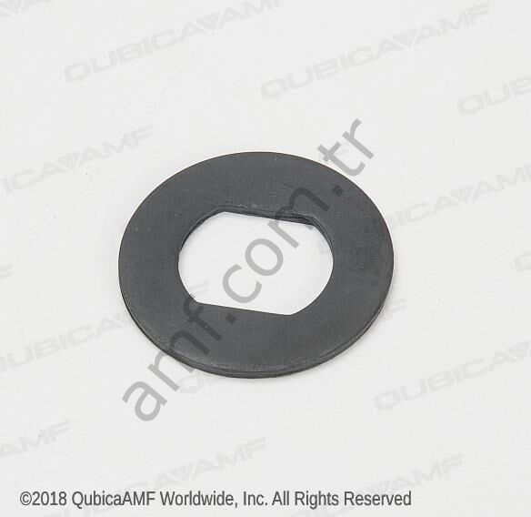 Washer Thrust Dist II_088005119 Distribütör Baskı Pulu, İnce Vers.Xli Edge