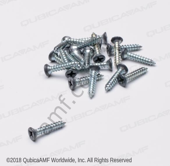 Gutter Gray Coupling Screws ( BG20 )_820726122-G Gutter Kelepçe Vidası, Gri, 20li Paket