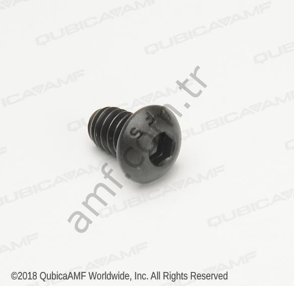 1/4-20 x 3/8 Screw SOBT Black __ 808549060 Kapak Vidası, Düğme Başlı, Altıgen Soketli