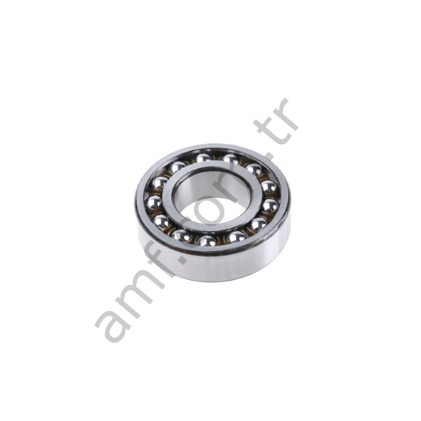 Ball Bearing 1205 Açık Rulman