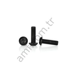 Cap Screw, Button Head1/4-20 X 5/8(BG10)_808549100 Buton Başlı Civata, 1/4-20 x 5/8