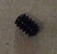 Potentiometer  Gear Shooter Mech Set Screw_AB2015B Ice, Sega, Potansiyometre Dişlisi İçin Civata, Set Screw 6-32 x 3/16 Cup