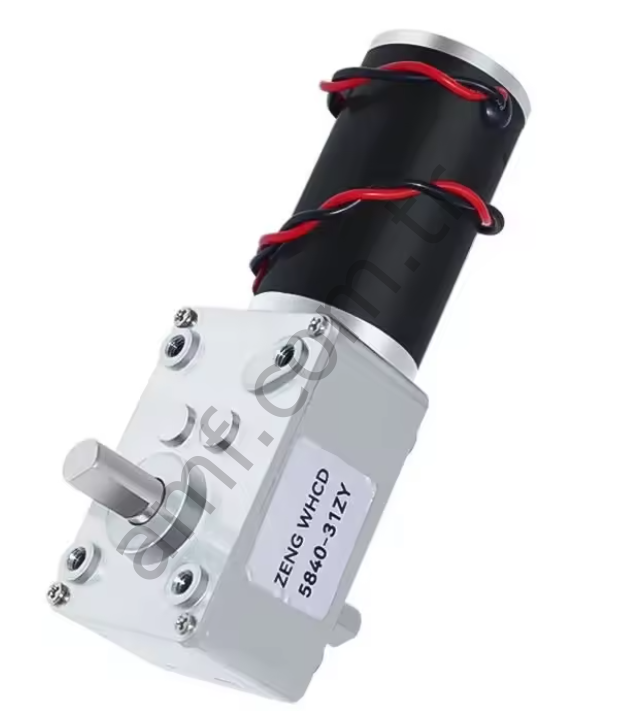 Dual Shaft Dc Gear&Motor 12v 40rpm_5840-31ZY Redüktörlü Motor, Dc, Çift Şaftlı