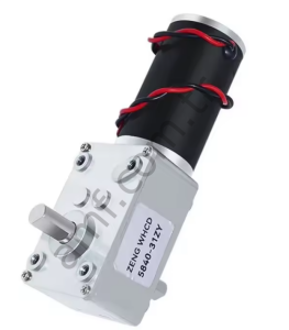 Dual Shaft Dc Gear&Motor 12v 40rpm_5840-31ZY Redüktörlü Motor, Dc, Çift Şaftlı