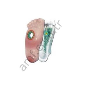 Kit Complete Rh FootTarget w/ LED & Switch W/Cover Stinky Feet, Hedef Sağ Ayak Seti Komple