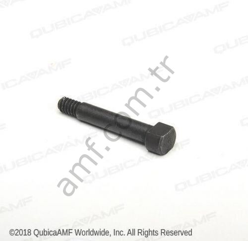 Screw, Shoulder Bolt_000028391 Özel Omuz Civatası