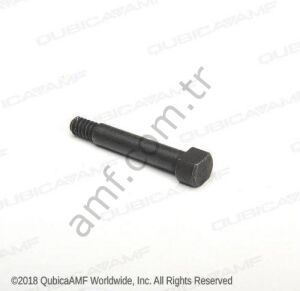 Screw, Shoulder Bolt_000028391 Özel Omuz Civatası