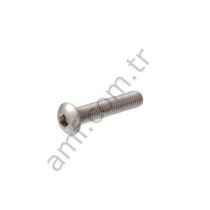 Bolt Button Head 1/4-20x2-1/4_AA6211 Down The Clown Civata 1/4-20x2-1/4_AA6211