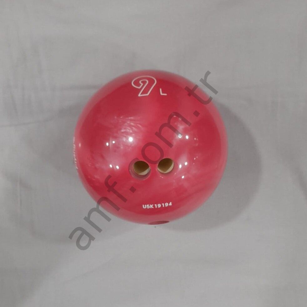 Bowling Ball 9L Bowling Topu 9 Lbs
