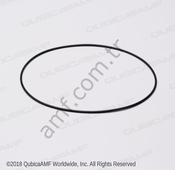 O Ring Carpet Dr Shaft Flange __ 919101900