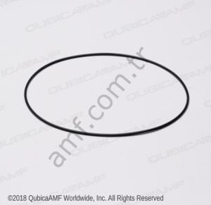 O Ring Carpet Dr Shaft Flange_919101900