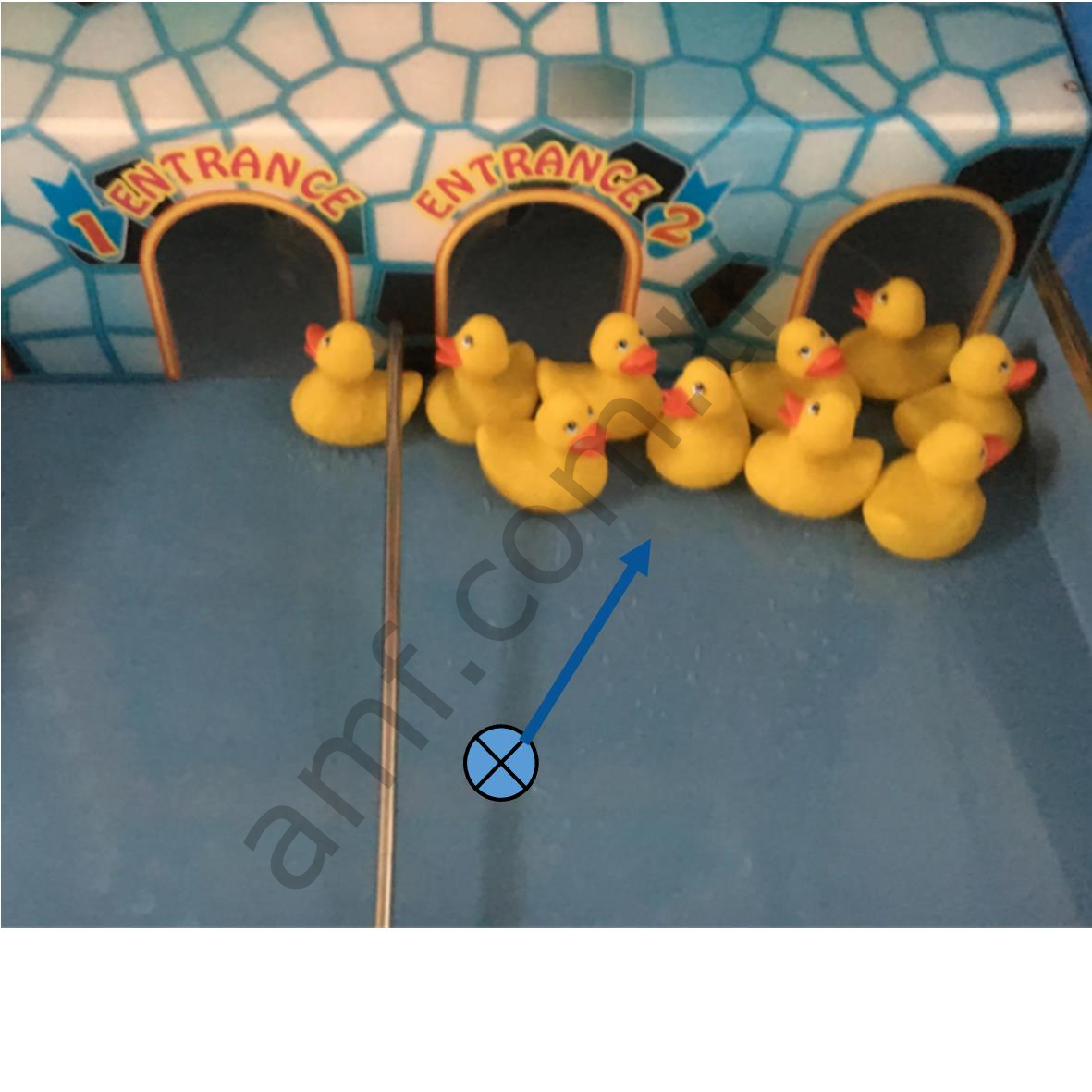 Duck For Cute Duck Cute Duck, Ördek