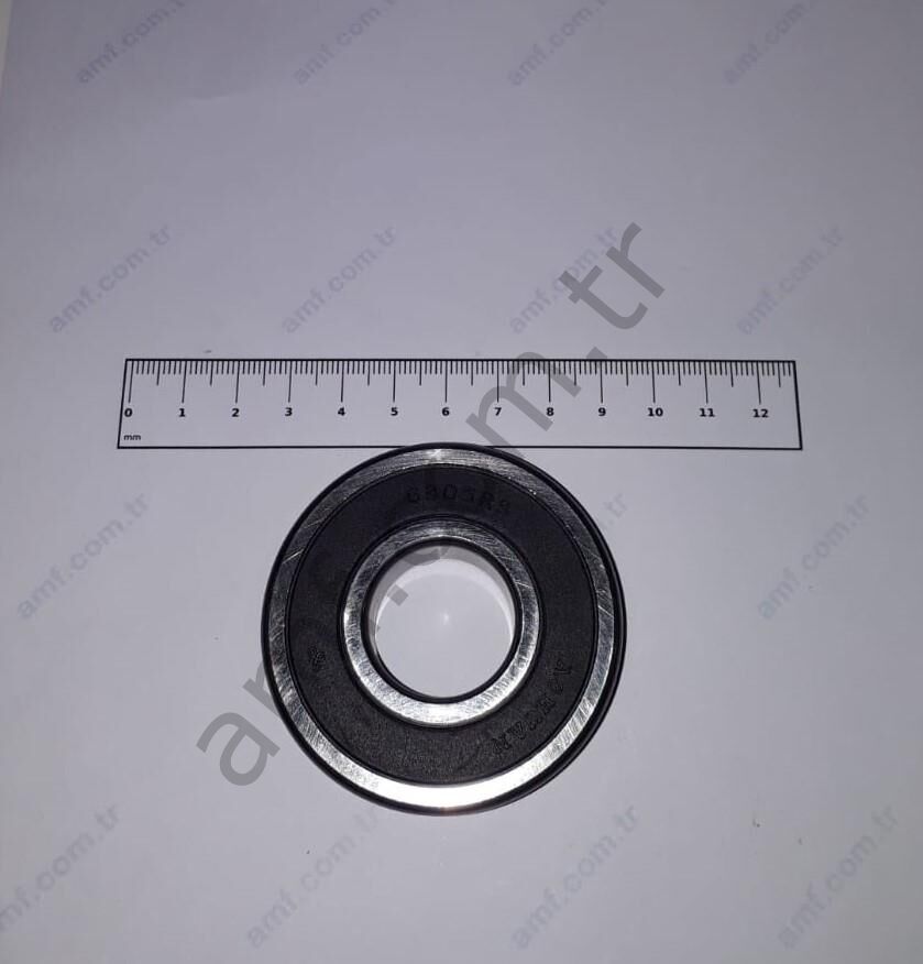 Ball Bearing_6305 Happy Bus, Rulman 6305