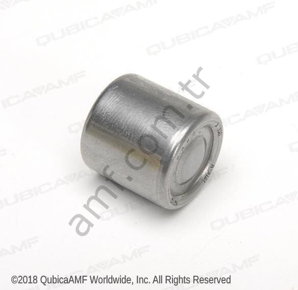 Bearing Neddle Cam Link_070002781 Rulman, İğneli