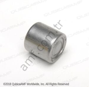 Bearing Neddle Cam Link_070002781 Rulman, İğneli