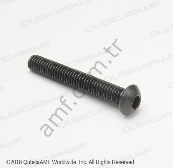 Cap Screw, Hex Socket Drive, M6x40mm_709013068 Pin Holder Montaj Civatası, Yuvarlak Başlı, M6 X 40mm