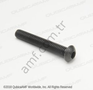 Cap Screw, Hex Socket Drive, M6x40mm_709013068 Pin Holder Montaj Civatası, Yuvarlak Başlı, M6 X 40mm