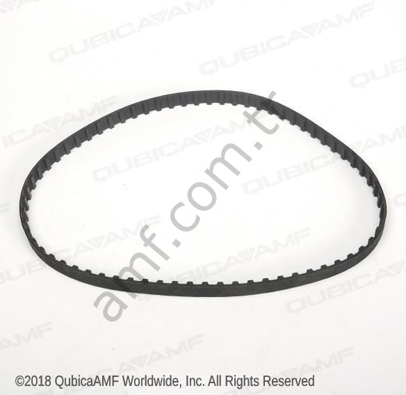 Buffer Drive Belt_03099 Magnum, Summit Hat Bakım Makinası Kayışı, 255L