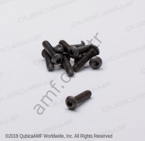 Cap Screw, Button Head 1/4-20x1.00(BG10)_808549160 Buton Başlı Civata, 1/4-20x1.00