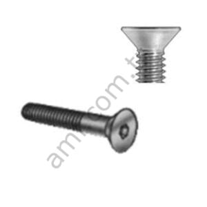 Screw,Hex Socket Drive,1/4-20x3.50(BG10)_808849565 Civata, Havşa Başlı, Alyan,1/4-20 X 3.50 Adet