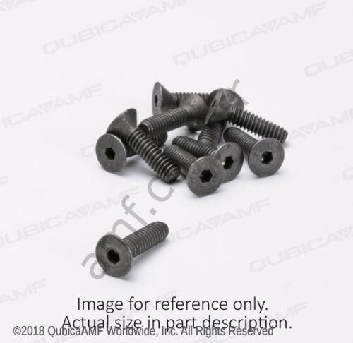 Screw, Flat, Hex ,5/16-24x0.75 ( BG10 )_808858120 Havşa Başlı, Alyan Civata, 5/16-24 X 0.75, Adet