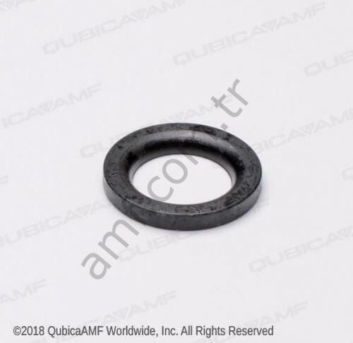 Special Washer Bosp 0.63x100x0.13_070001849