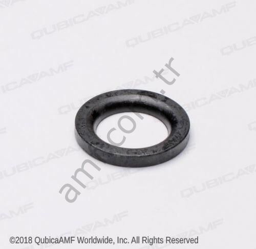 Special Washer Bosp 0.63x100x0.13_070001849