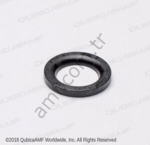 Special Washer Bosp 0.63x100x0.13_070001849