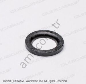 Special Washer Bosp 0.63x100x0.13_070001849