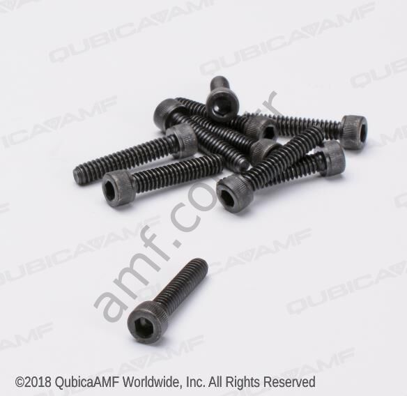 Cap Screw, Socket Head,10-24x1.00(BG10)_810239160 Soket Başlı Civata, Siyah, 10-24x1.00, Adet