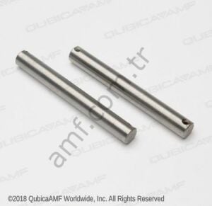Pin Roller Link (BG2)_000024582